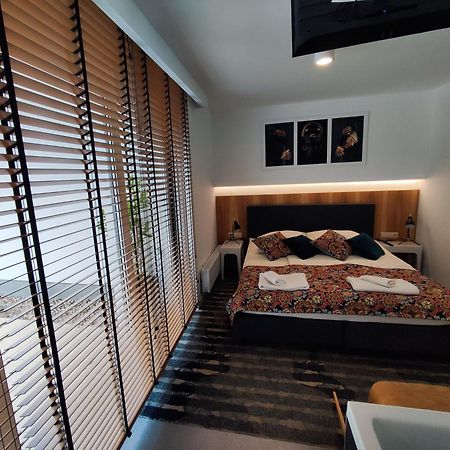 Apartament Dream 博格泽利卡 外观 照片